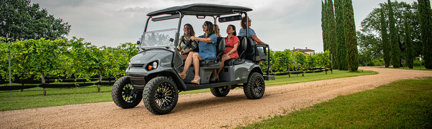 2024 E-Z-GO Golf Cart for sale in Wildar Golf Carts & Trailers, Fort Pierce, Florida