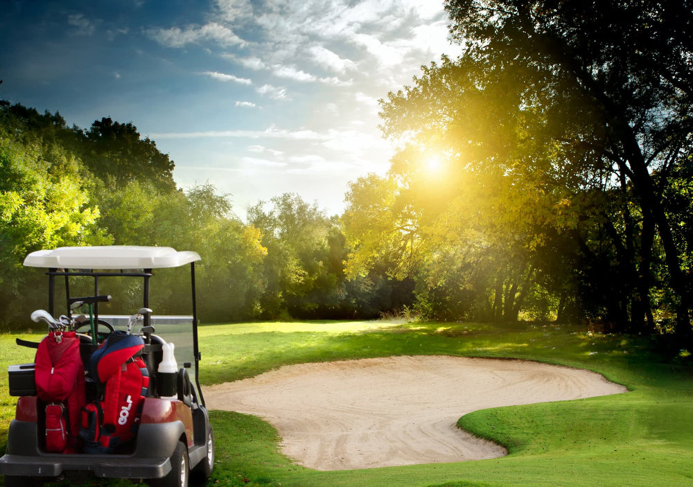 Everything You Need to Know About Golf Carts