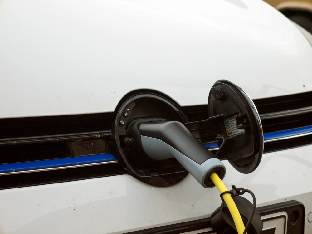 Everything You Need to Know About Golf Carts