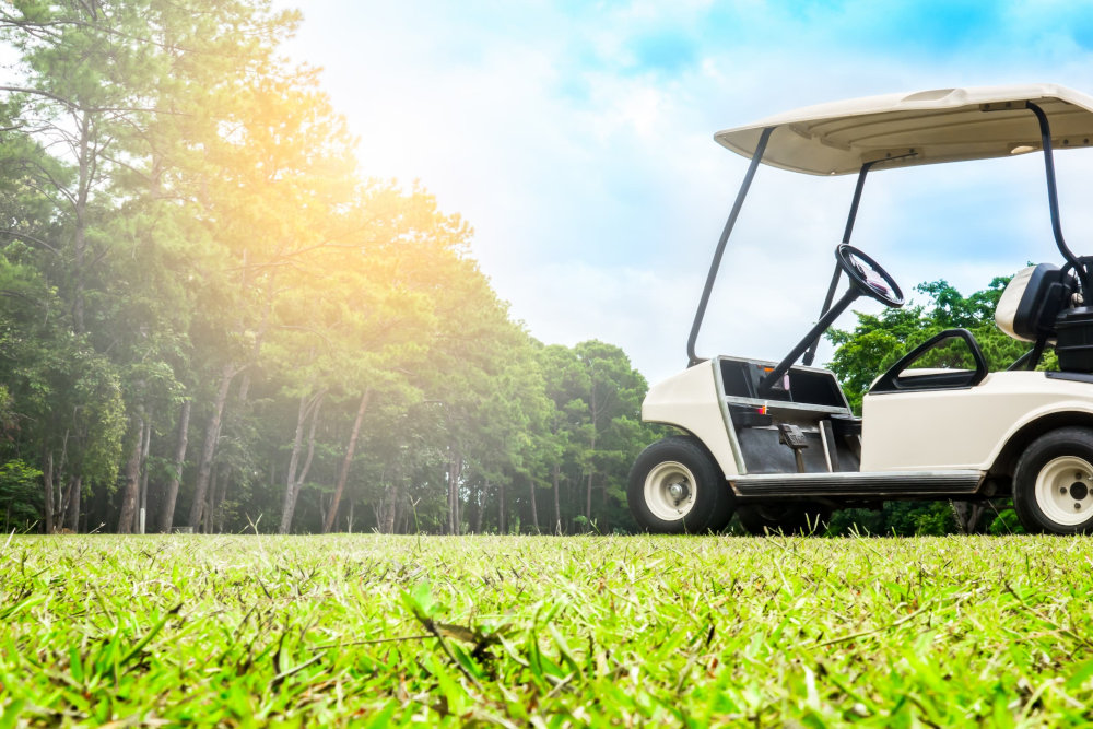 Everything You Need to Know About Golf Carts