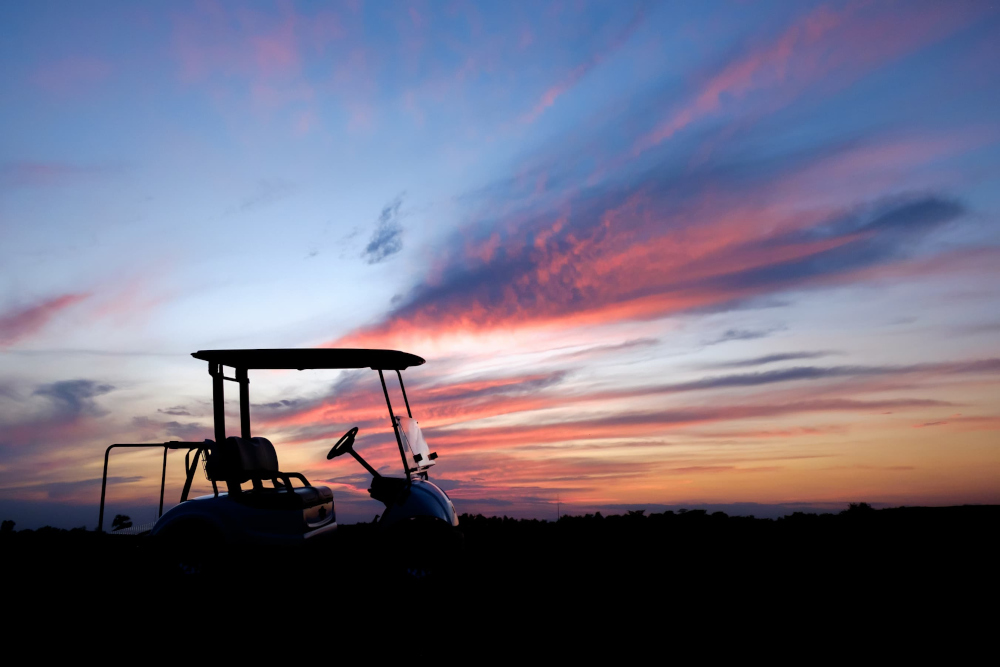 Everything You Need to Know About Golf Carts