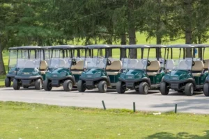 Read more about the article Golf Cart Ideal Owner: The Perfect Companion for Leisure and Utility