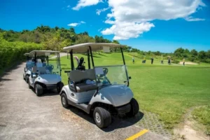 Read more about the article Some Fun Facts About Golf Carts