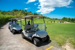 Read more about the article Benefits of Street-Legal Golf Carts for Your Neighborhood Journeys