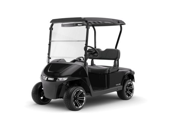 EZGO Valor Gas