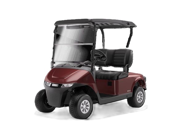 two passenger golf cart