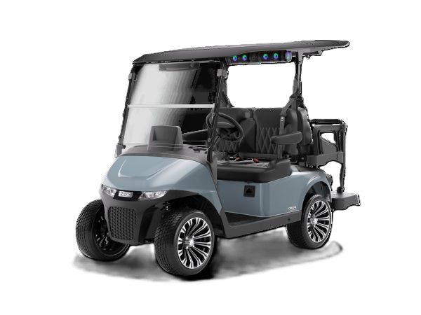 2+2, four passenger golf cart