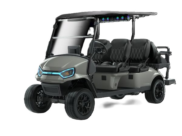 6 passenger golf cart