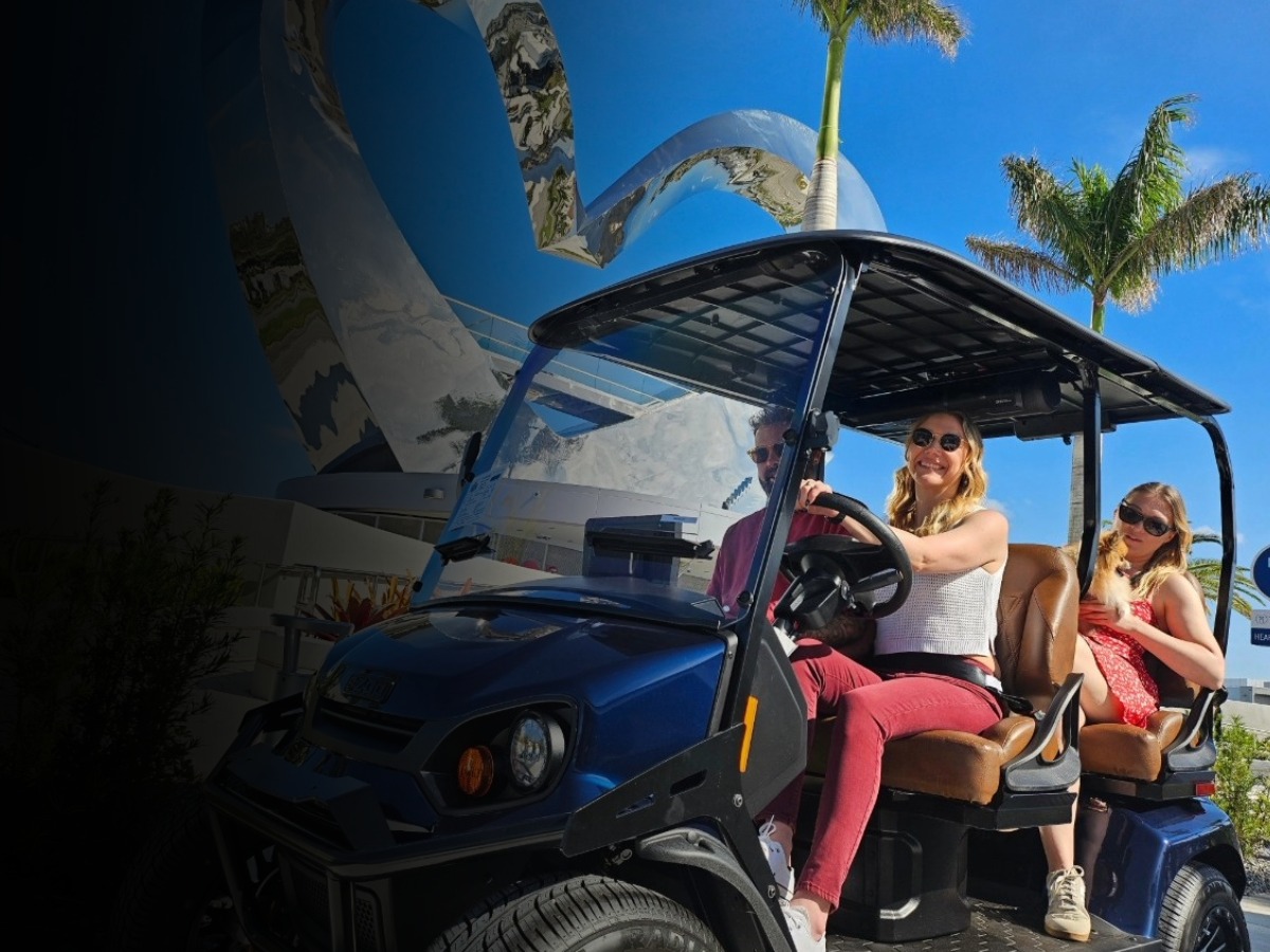 Golf Carts and Street Legal LSVs 
